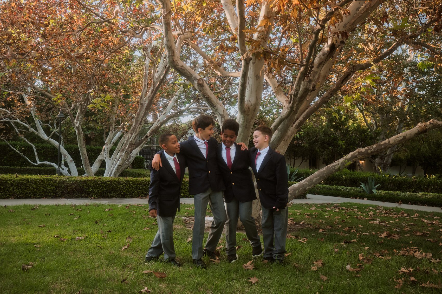 Five students in school blazers standing together under the sycamore