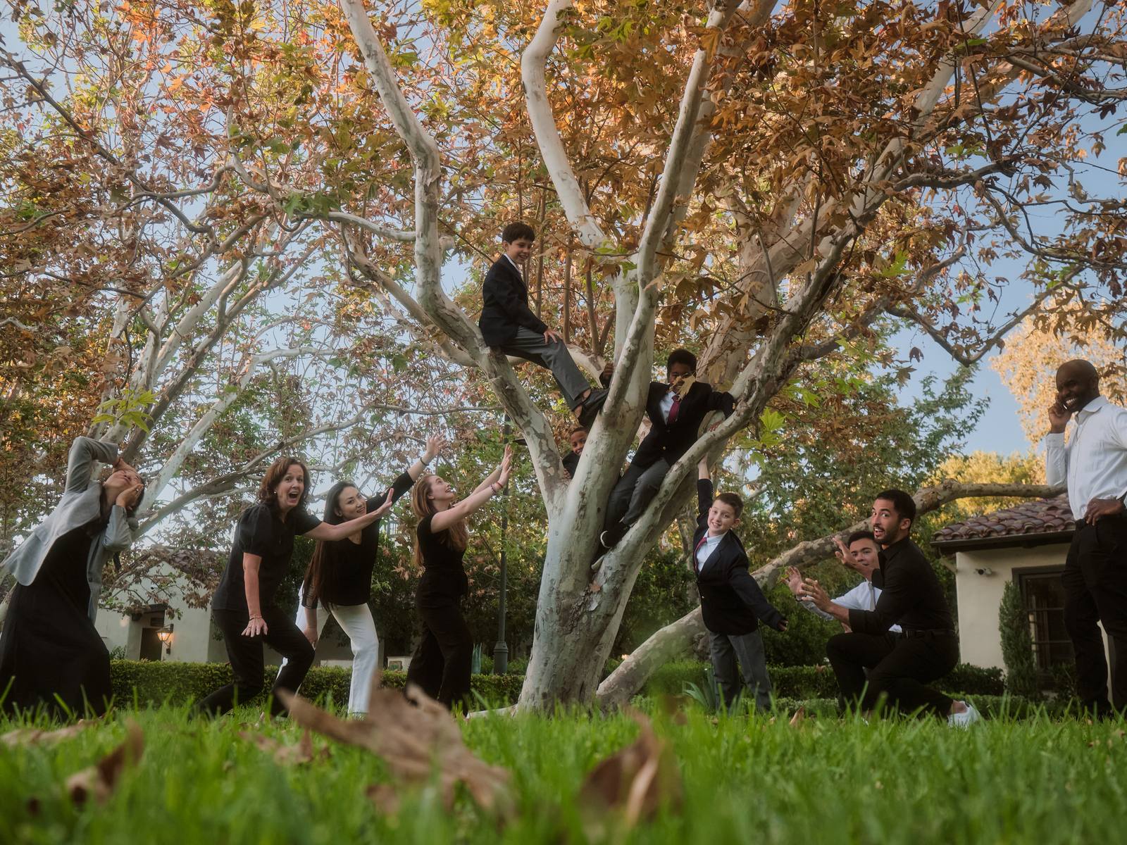 Students up a sycamore after school while the faculty look on